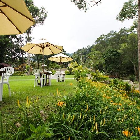 Hemerocallis Country House Nanzhuang Buitenkant foto