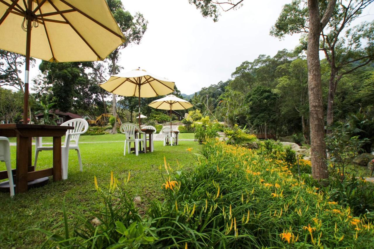 Hemerocallis Country House Nanzhuang Buitenkant foto